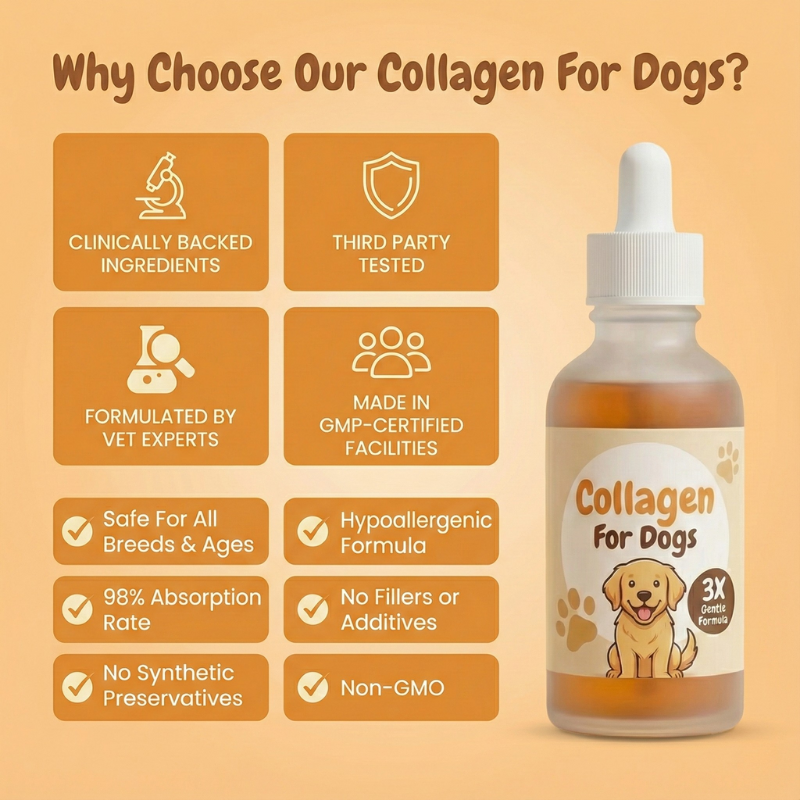 Pawtigen | Premium Liquid Collagen