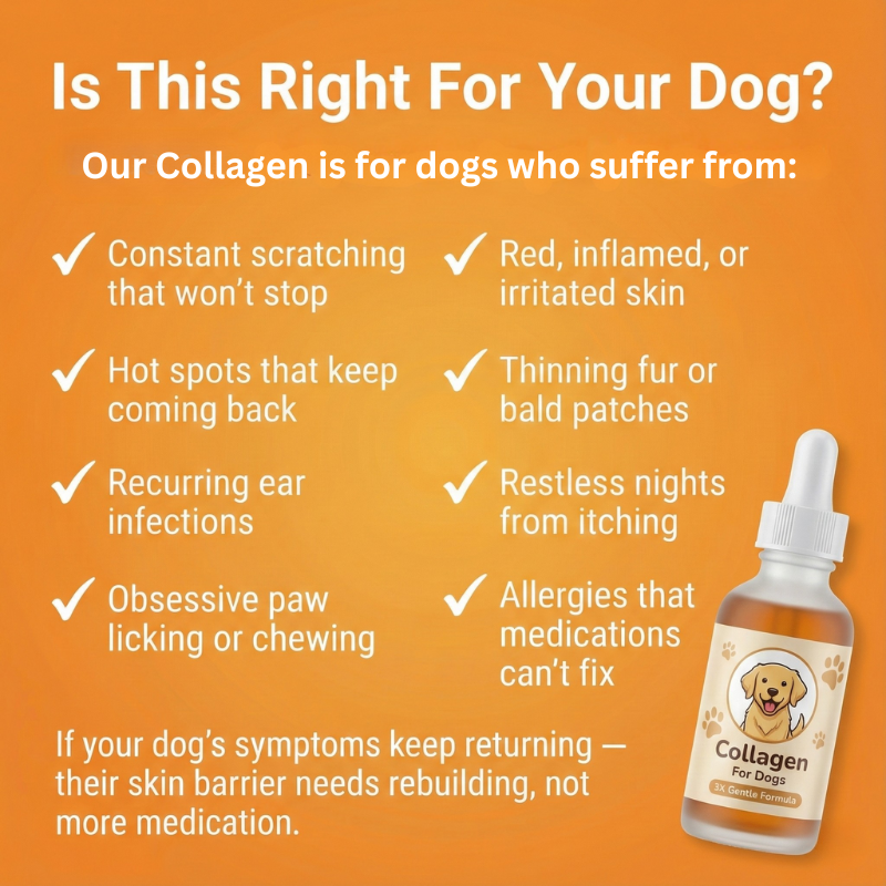 Pawtigen | Premium Liquid Collagen
