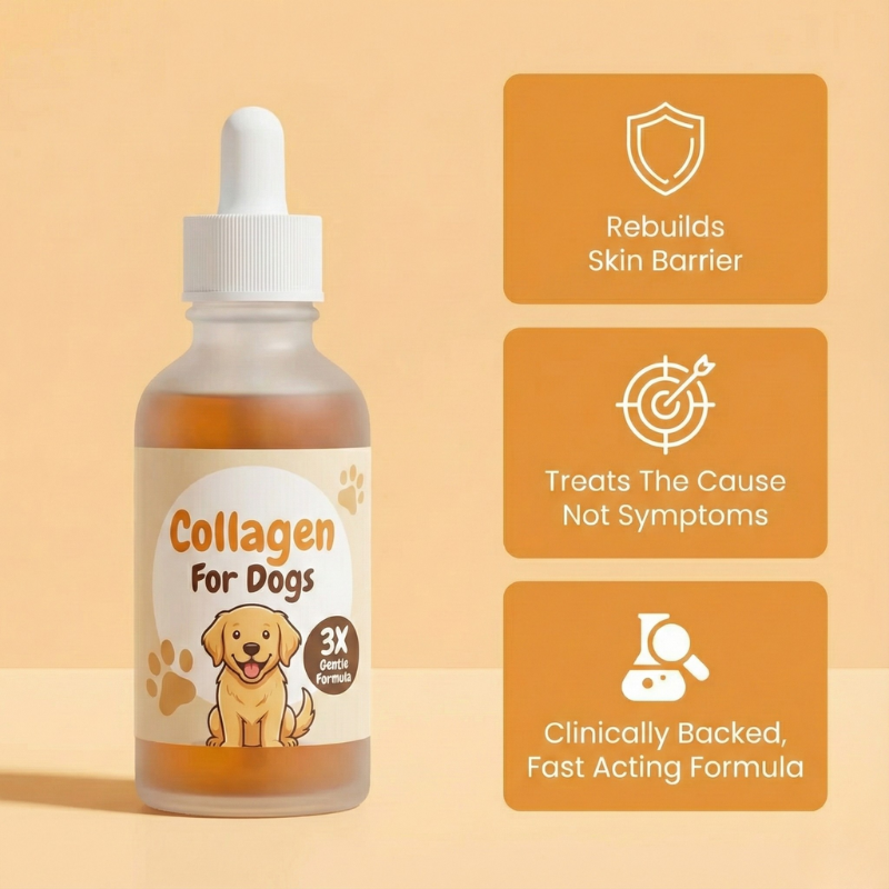 Pawtigen | Premium Liquid Collagen