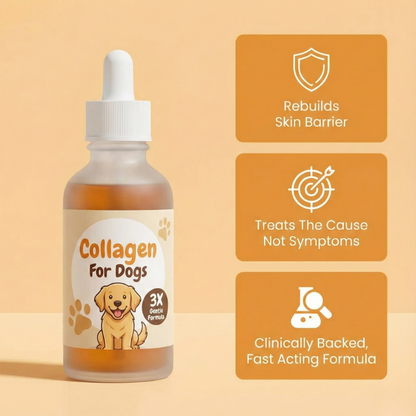 Pawtigen | Premium Liquid Collagen